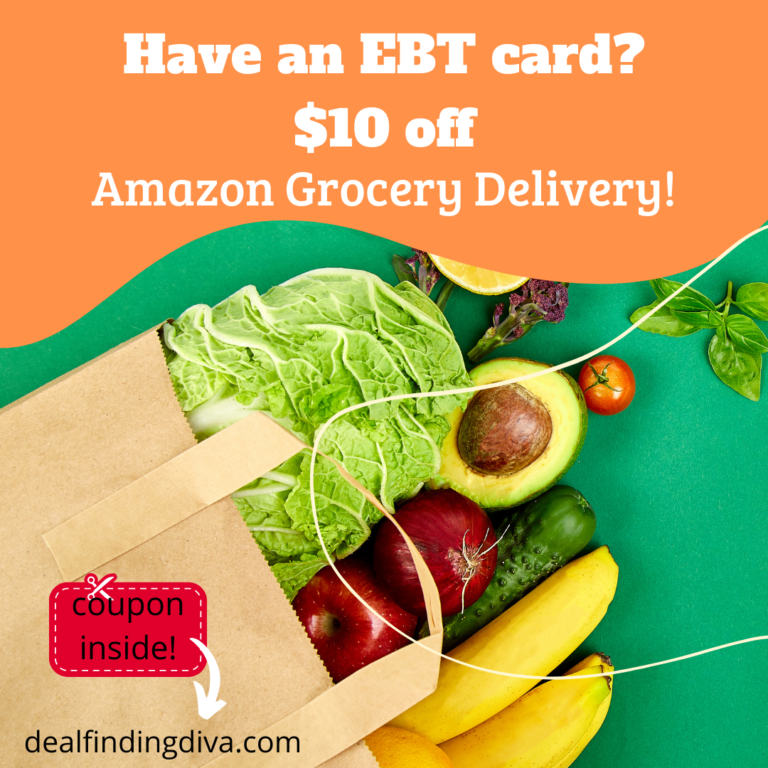 amazon ebt discount