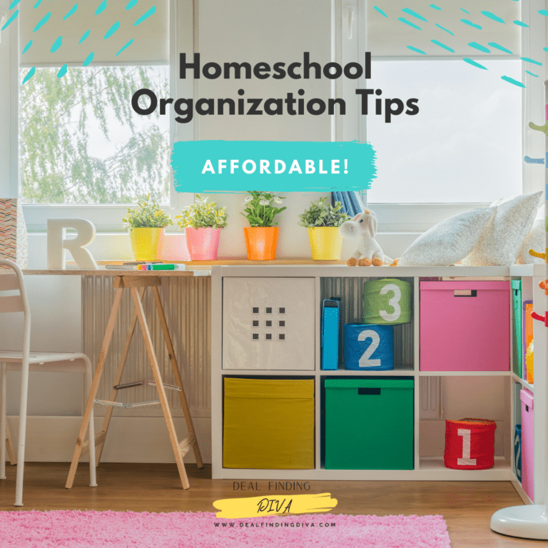 homeschool organization ideas for small spaces